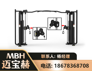 东莞大飞鸟训练器