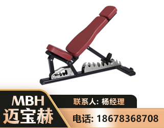 东莞可调哑铃椅