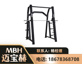 东莞史密斯机